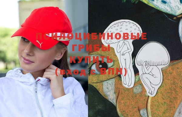 дмт Богородск