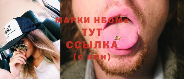 дмт Богородск