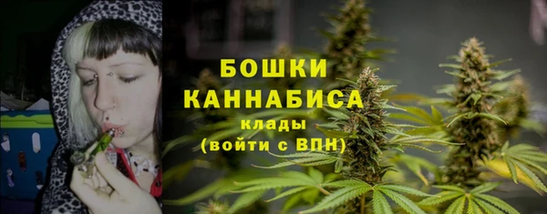 дмт Богородск