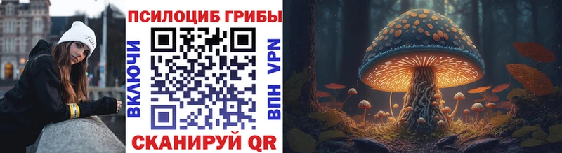 Галлюциногенные грибы Psilocybine cubensis  blacksprut ONION  Верещагино 